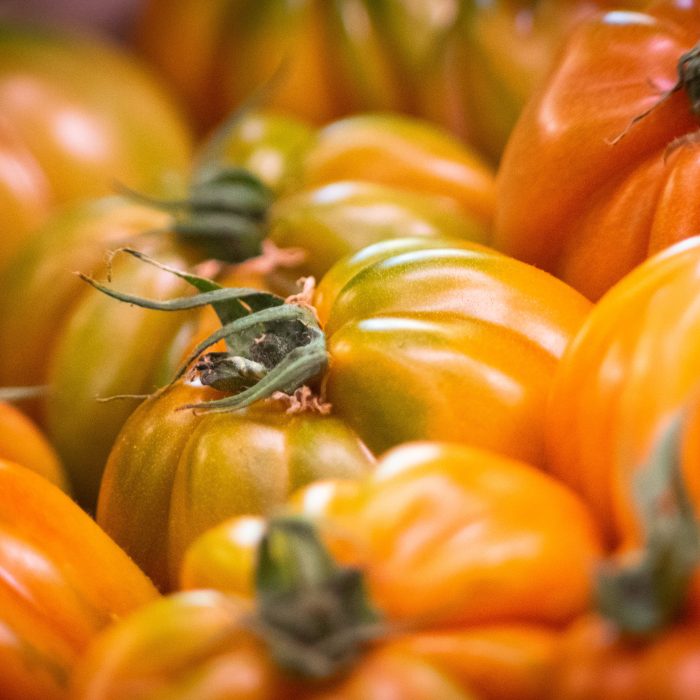 Pomodori