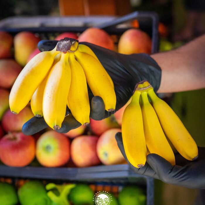 Banane baby