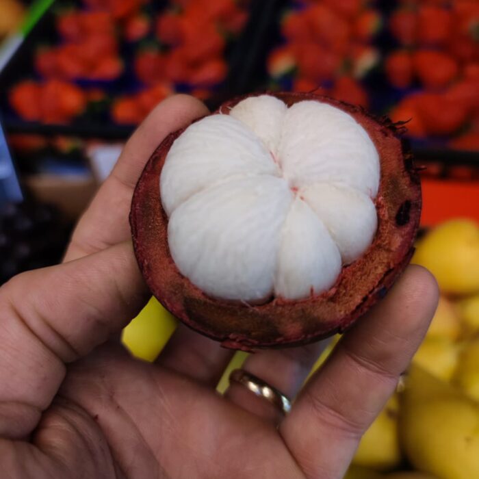 Mangostano