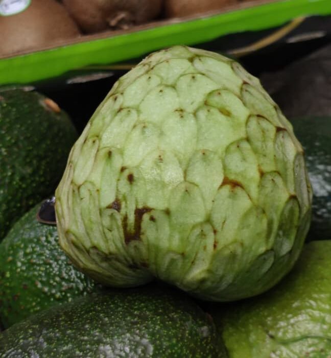 Annona