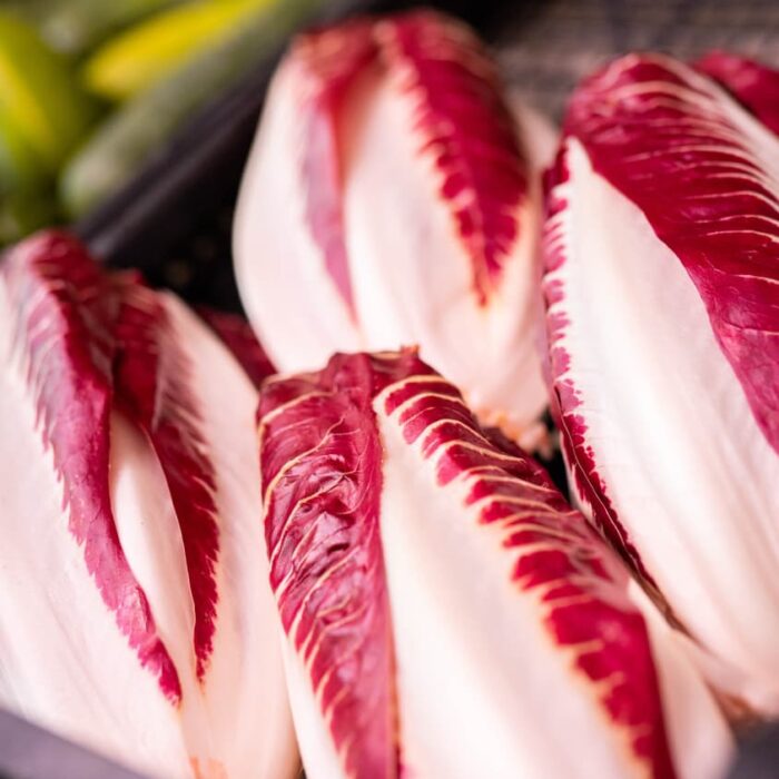 Radicchio rosso