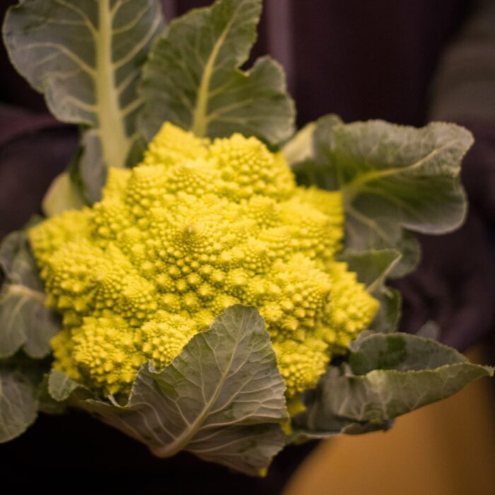 Cavolo romanesco