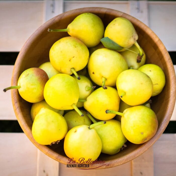 Limoni