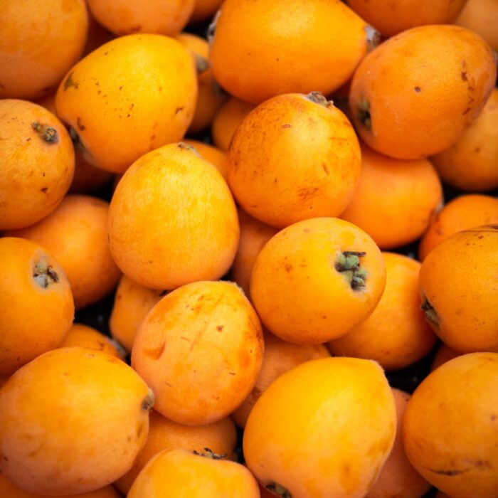 Nespole