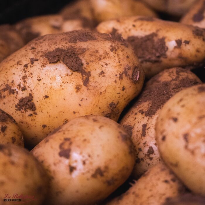 Patate