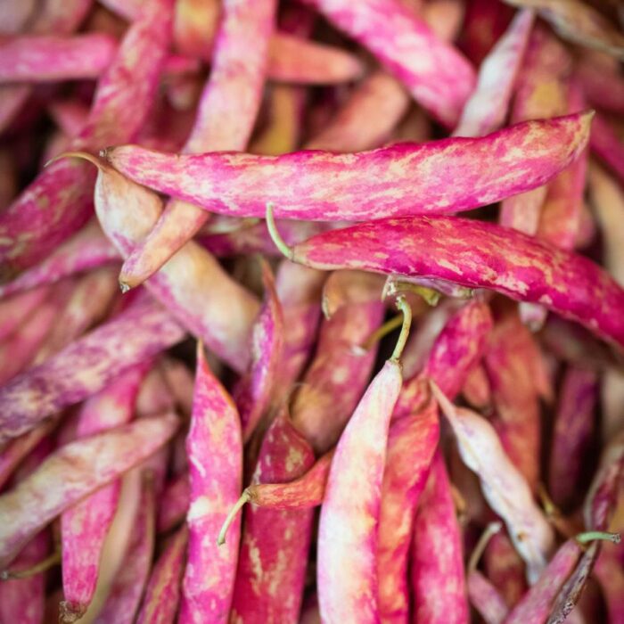 Fagioli Borlotti