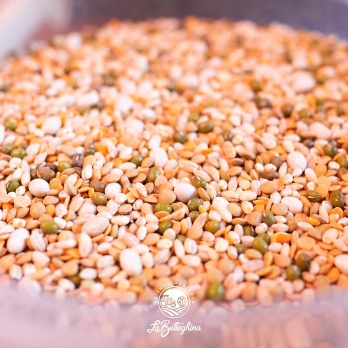 Minestra Fantasia Legumi e Cereali