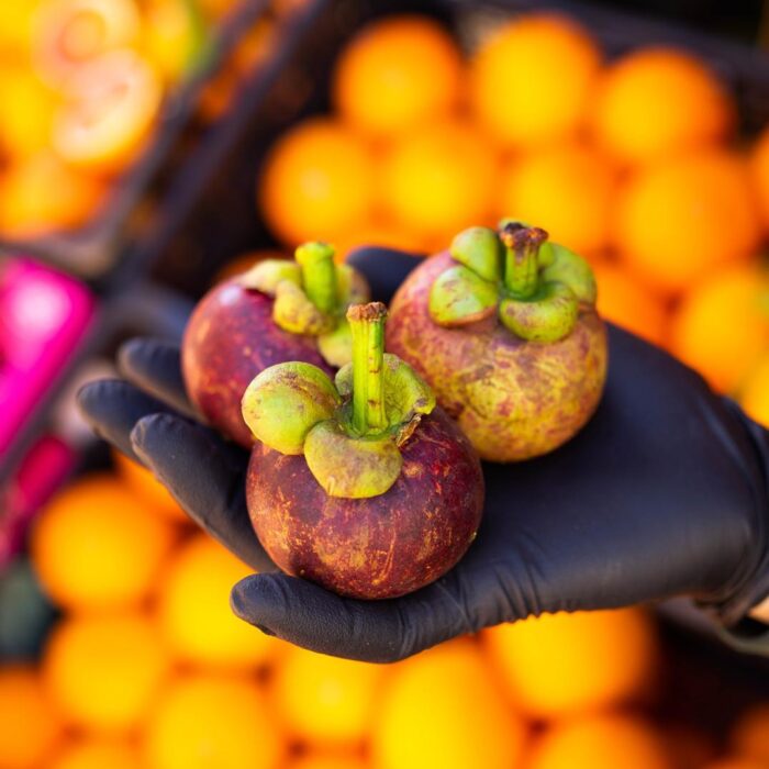Mangostani
