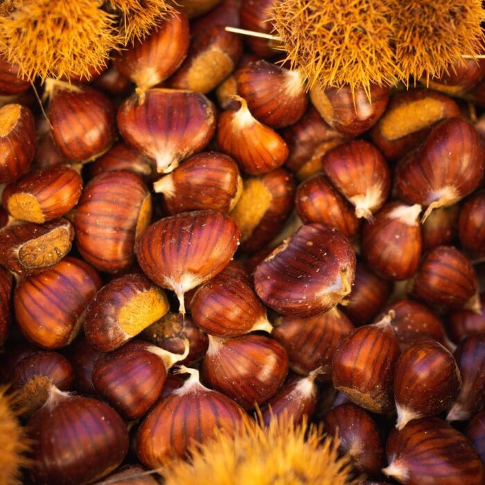 Castagne