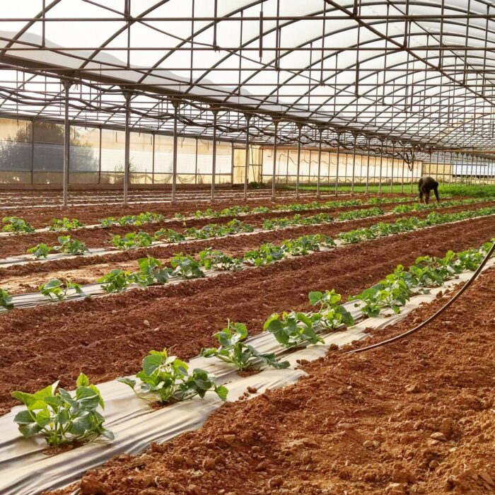 L’azienda