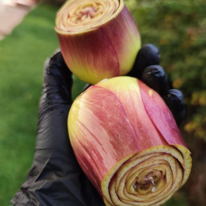 Carciofi puliti