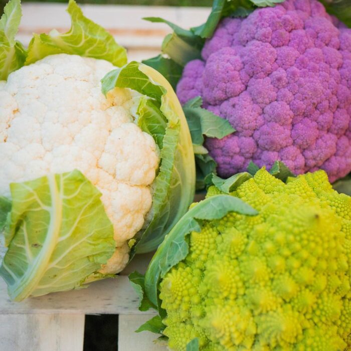 Cavoli