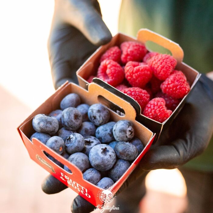Frutti di bosco