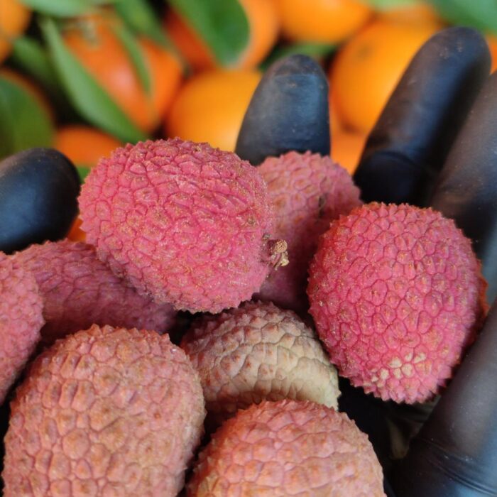 Litchi