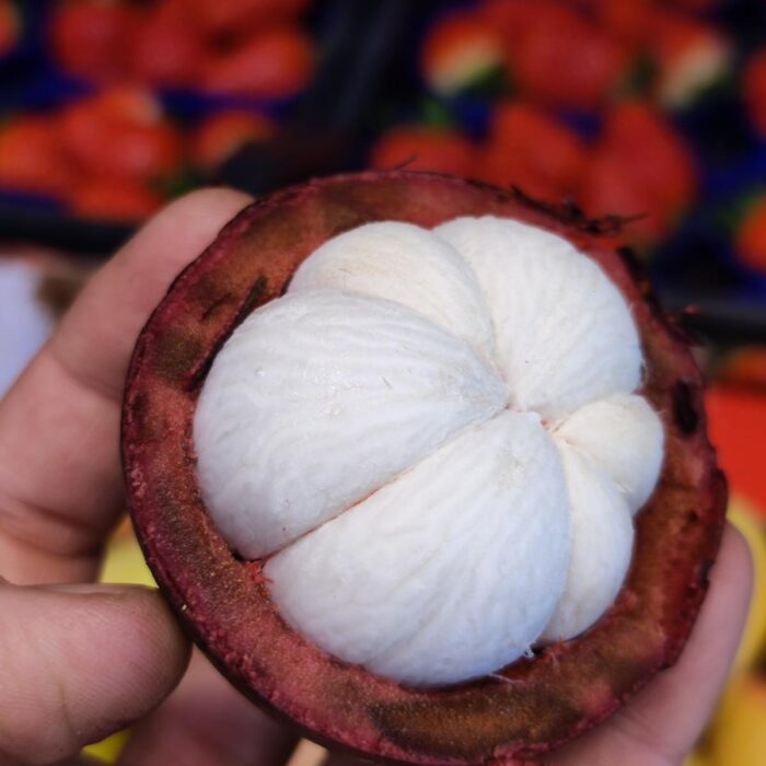 Mangostano