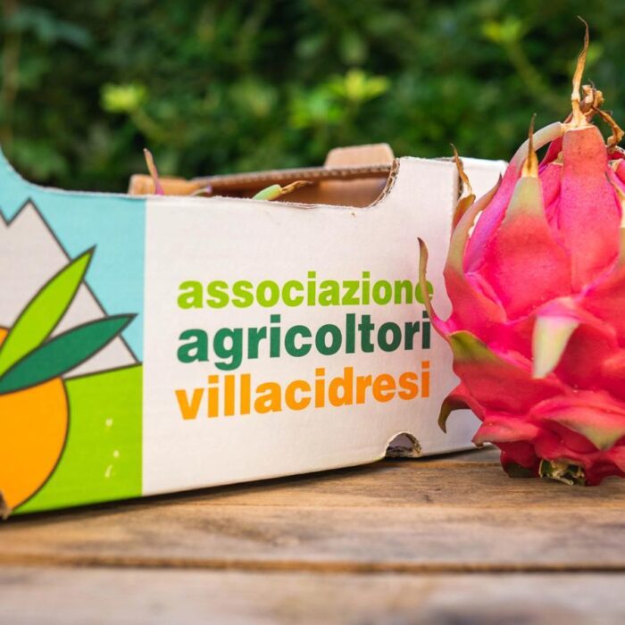 Pitaya, frutto del drago