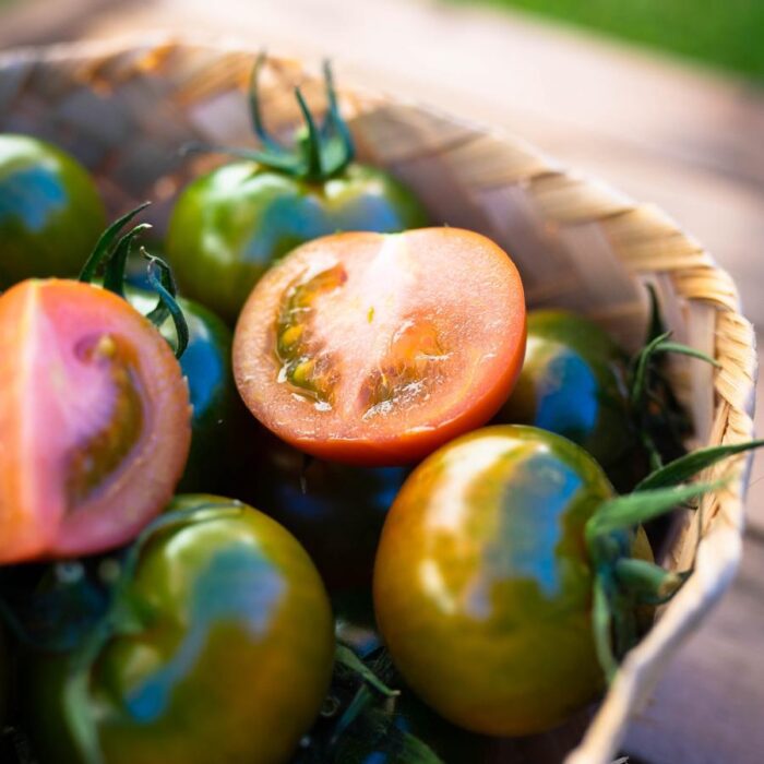 Pomodoro Camona