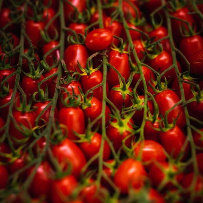 Pomodoro datterino